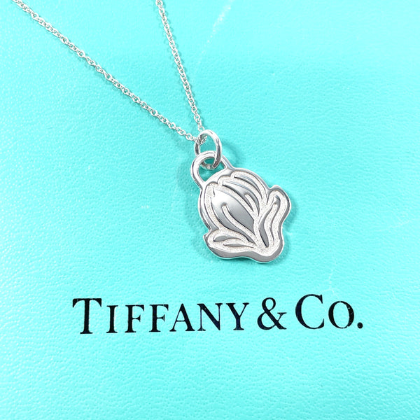 TIFFANY&Co. Necklace GO WOMEN 2019 Silver925 Silver Women Second hand