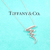 TIFFANY&Co. Necklace Scribble Paloma Picasso Silver925 Silver Women Second hand