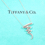 TIFFANY&Co. Necklace Scribble Paloma Picasso Silver925 Silver Women Second hand