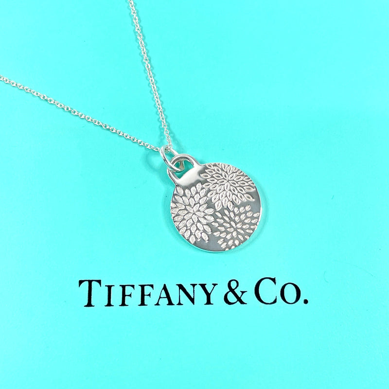 TIFFANY&Co. Necklace GO WOMEN 2018 Silver925 Silver Women Second hand
