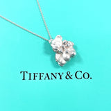 TIFFANY&Co. Necklace Teddy bear Silver925 Silver Women Second hand