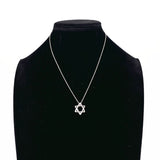 TIFFANY&Co. Necklace Star of david Elsa Peretti Sterling Silver Silver Women Second hand