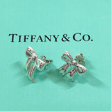 TIFFANY&Co. earring Silver925 Silver Women Used