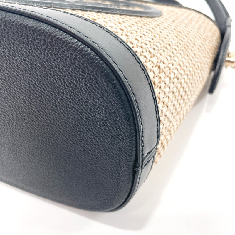 Louis Vuitton Petit Bucket NM Bag Raffia with Leather Black 2297651